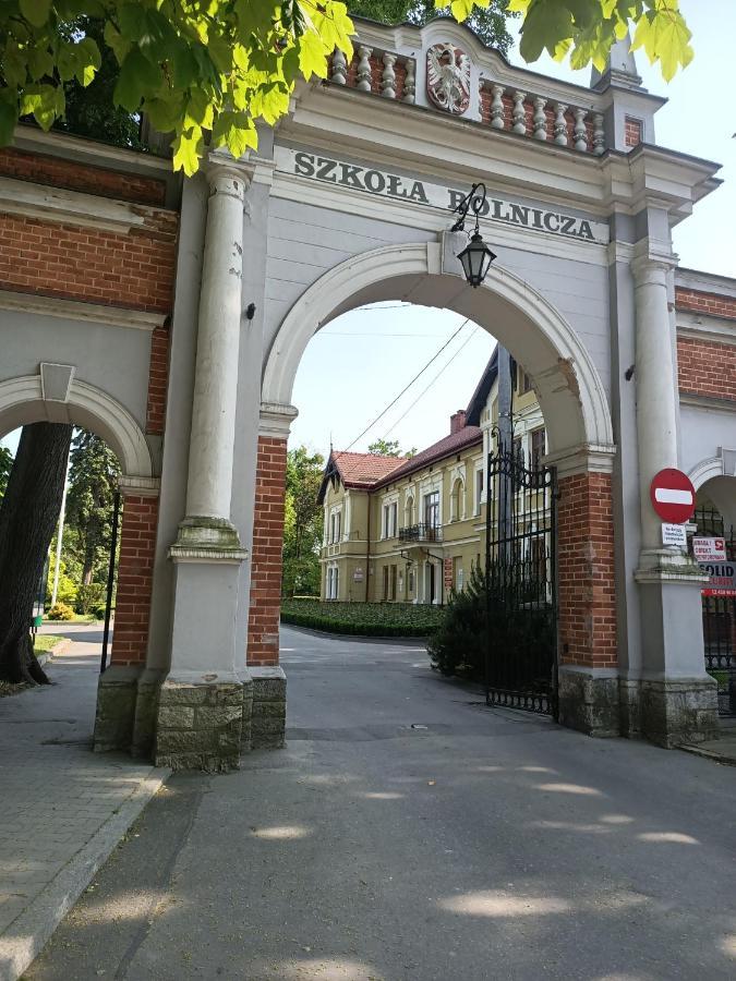 Apartament U Agaty Czernichow Krakow Zator Exterior photo